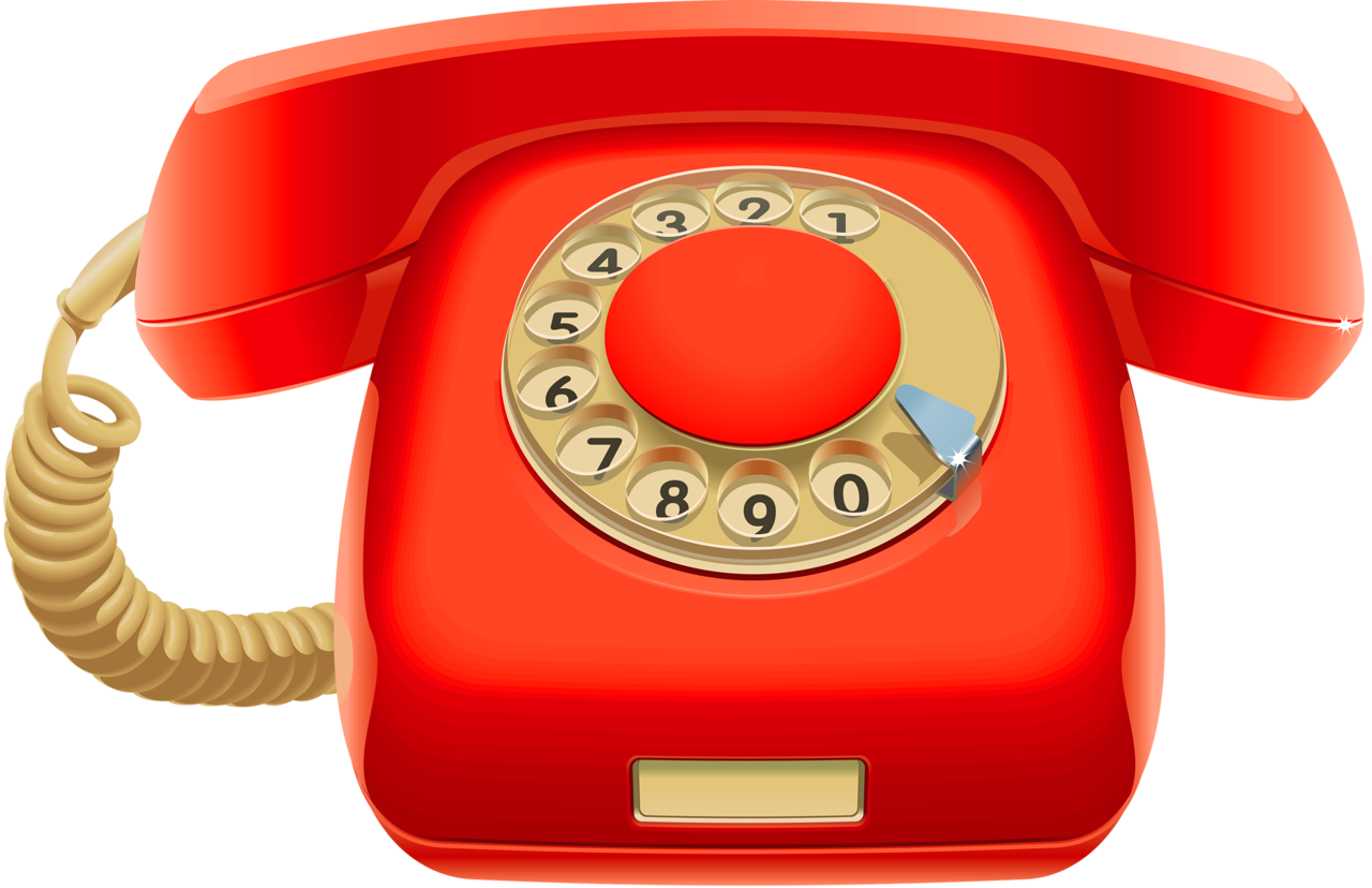+79877958077